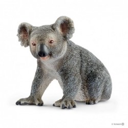 Urs Koala